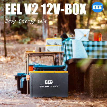 EEL 12V V2 DIY lifepo4 Battery Case with JK 200A Active Balance BMS,250A Fuse for Solar Power,Golf Cart,RV,EV，camping,Canal Narrowboat